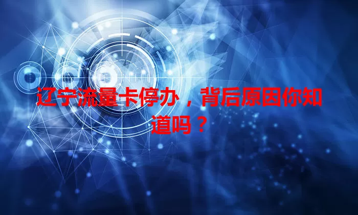 辽宁流量卡停办，背后原因你知道吗？