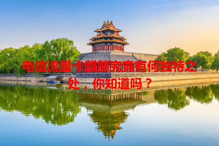电信流量卡麒麟究竟有何独特之处，你知道吗？