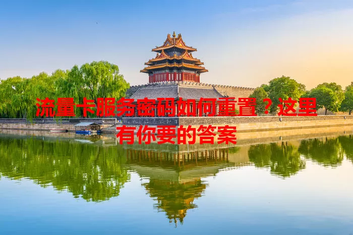 流量卡服务密码如何重置？这里有你要的答案