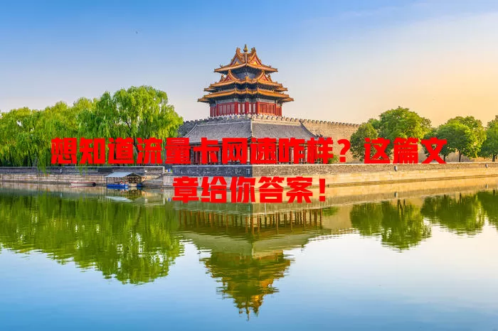 想知道流量卡网速咋样？这篇文章给你答案！