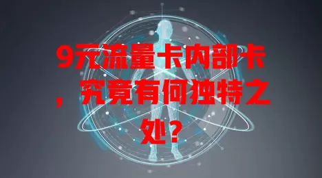 9元流量卡内部卡，究竟有何独特之处？