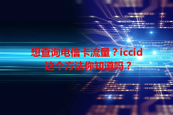 想查询电信卡流量？iccid 这个方法你知道吗？