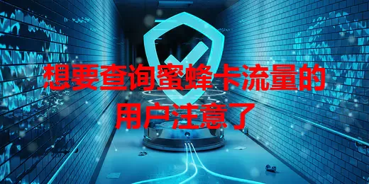 想要查询蜜蜂卡流量的用户注意了