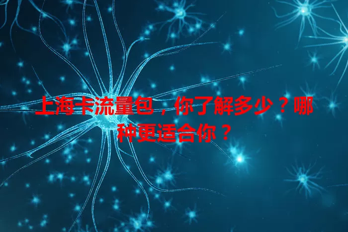 上海卡流量包，你了解多少？哪种更适合你？