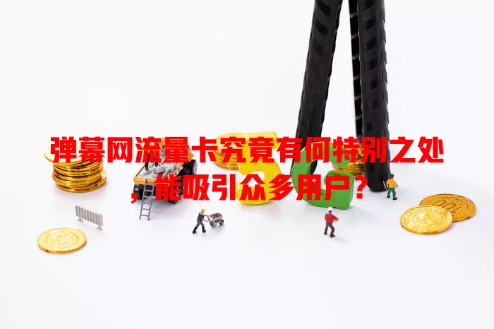 弹幕网流量卡究竟有何特别之处，能吸引众多用户？