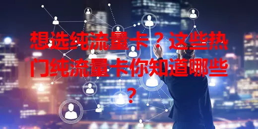想选纯流量卡？这些热门纯流量卡你知道哪些？