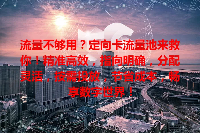 流量不够用？定向卡流量池来救你！精准高效，指向明确，分配灵活，按需投放，节省成本，畅享数字世界！