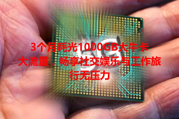 3个月耗光1000GB大牛卡大流量，畅享社交娱乐与工作旅行无压力