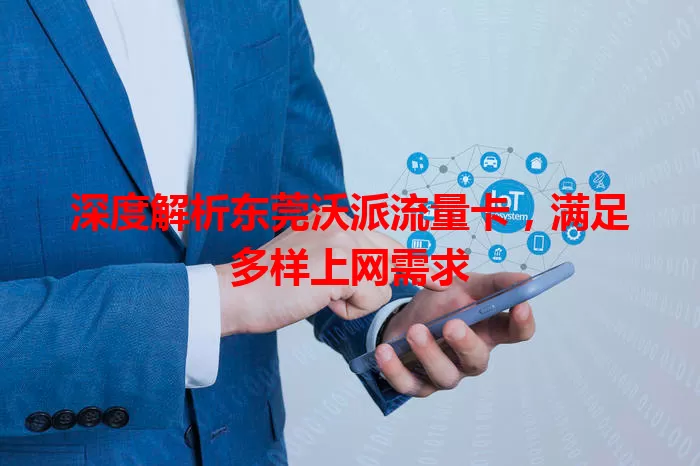 深度解析东莞沃派流量卡，满足多样上网需求