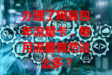 办理了网易包年流量卡，每月流量竟然这么多？