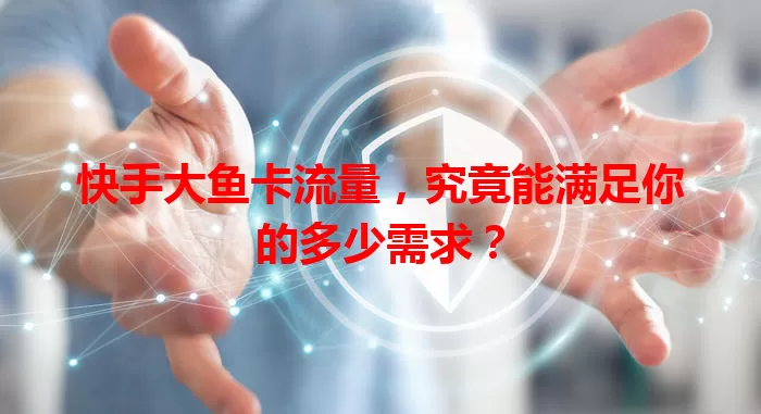 快手大鱼卡流量，究竟能满足你的多少需求？