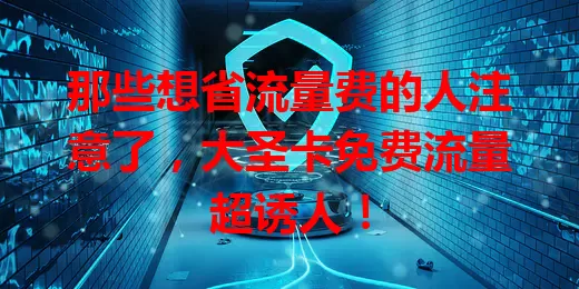 那些想省流量费的人注意了，大圣卡免费流量超诱人！