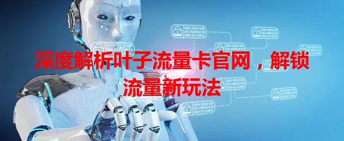 深度解析叶子流量卡官网，解锁流量新玩法