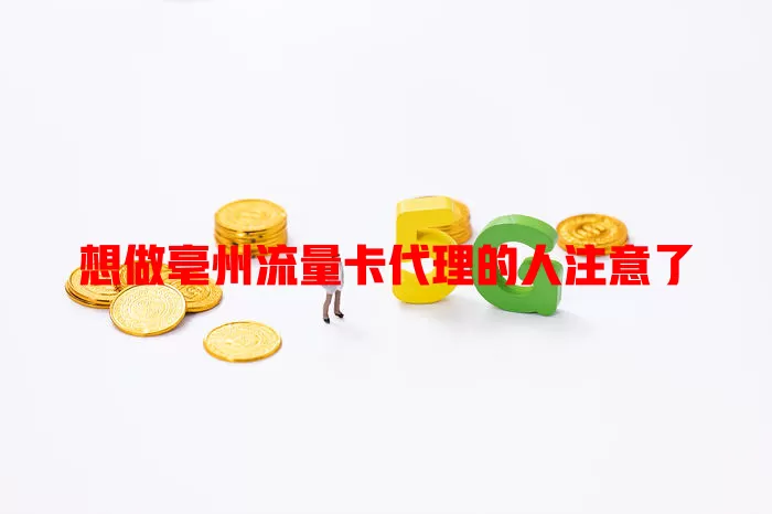 想做亳州流量卡代理的人注意了