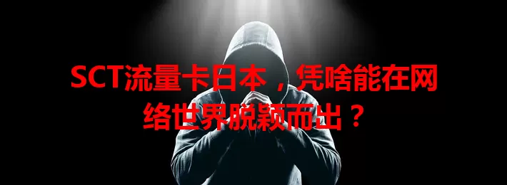 SCT流量卡日本，凭啥能在网络世界脱颖而出？