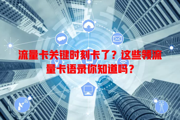 流量卡关键时刻卡了？这些领流量卡语录你知道吗？