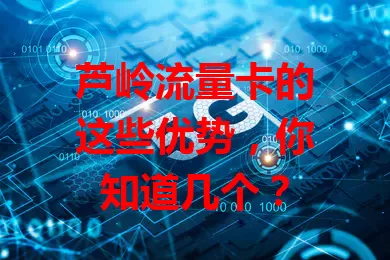 芦岭流量卡的这些优势，你知道几个？