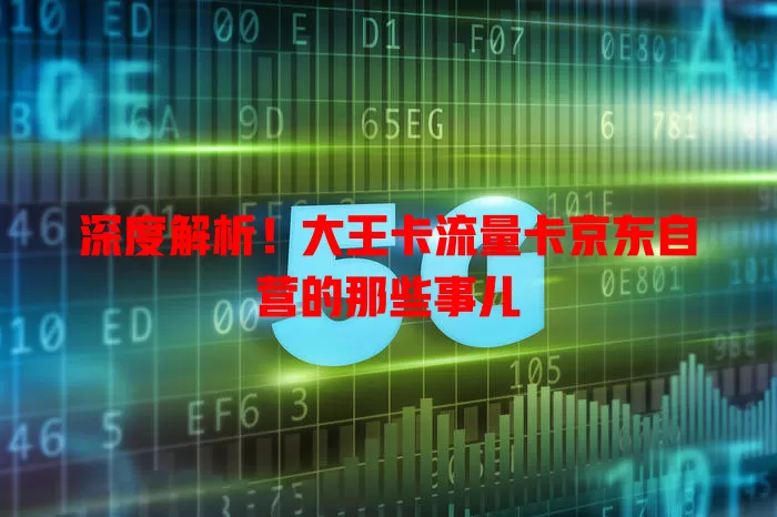 深度解析！大王卡流量卡京东自营的那些事儿