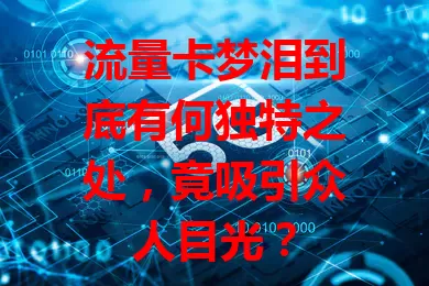 流量卡梦泪到底有何独特之处，竟吸引众人目光？