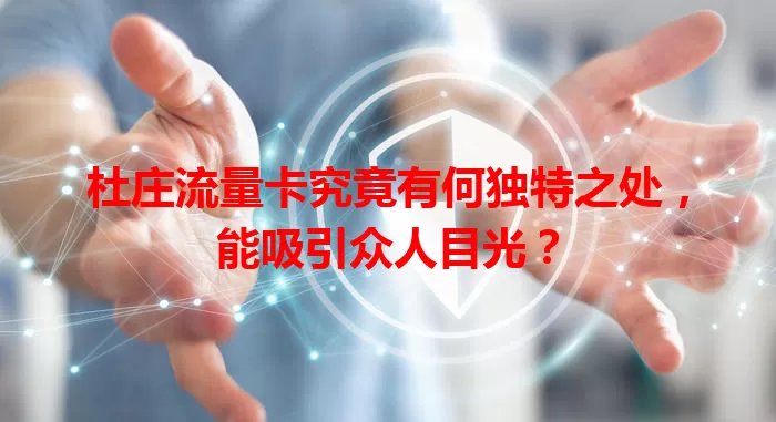 杜庄流量卡究竟有何独特之处，能吸引众人目光？