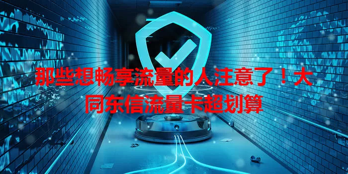 那些想畅享流量的人注意了！大同东信流量卡超划算