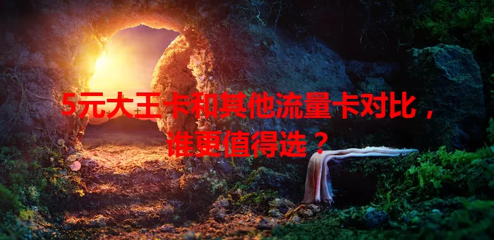 5元大王卡和其他流量卡对比，谁更值得选？