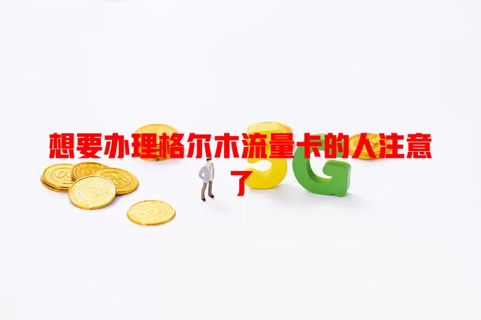 想要办理格尔木流量卡的人注意了