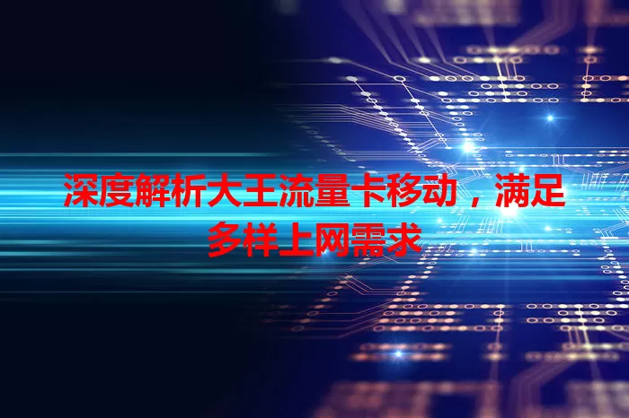 深度解析大王流量卡移动，满足多样上网需求