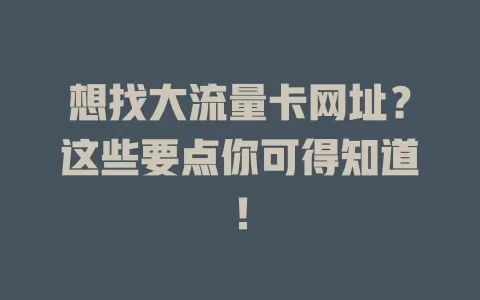 想找大流量卡网址？这些要点你可得知道！