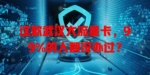 这款武汉大流量卡，99%的人都没办过？