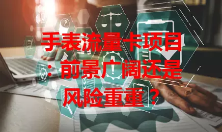手表流量卡项目：前景广阔还是风险重重？