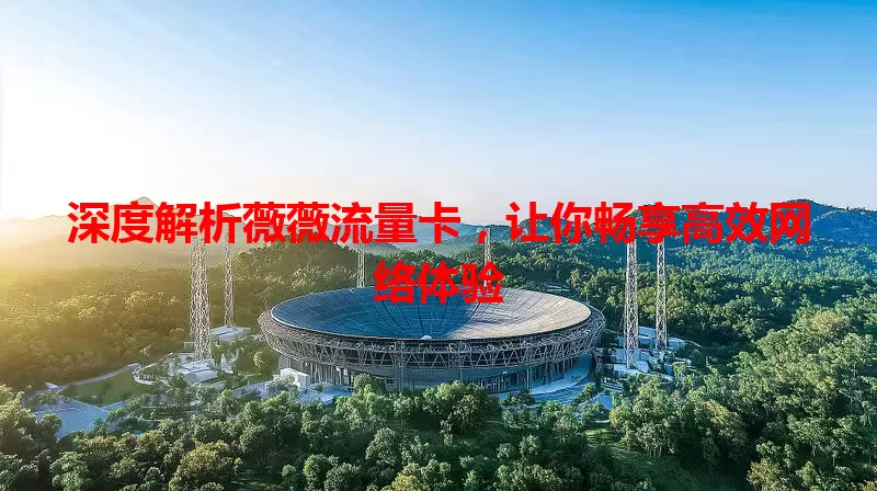 深度解析薇薇流量卡，让你畅享高效网络体验