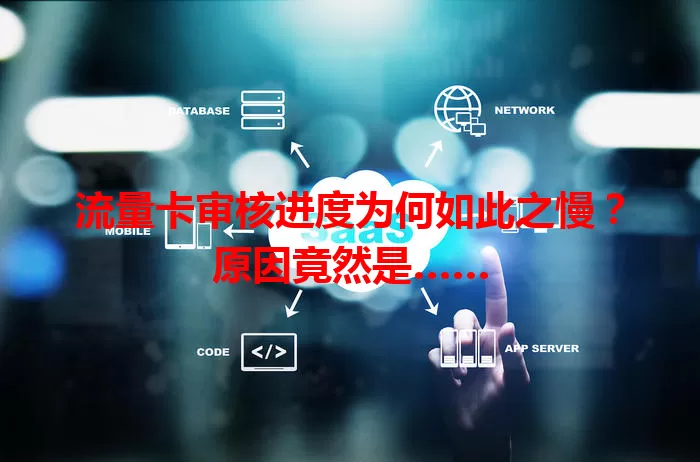 流量卡审核进度为何如此之慢？原因竟然是……
