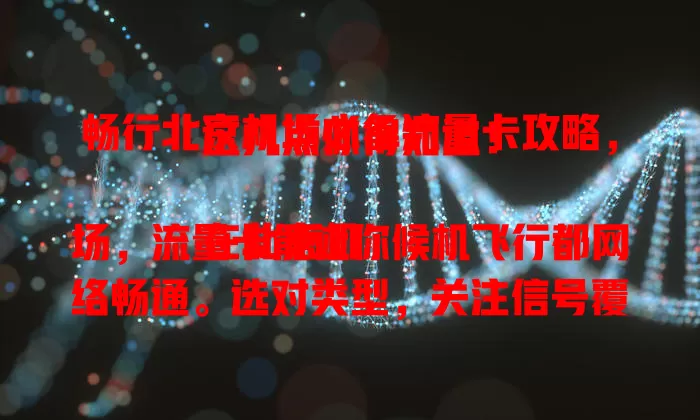 畅行北京机场必备流量卡攻略，这几点你得知道！

在北京机场，流量卡能让你候机飞行都网络畅通。选对类型，关注信号覆盖，留意套餐性价比，选正规渠道，掌握要点就能挑到合适流量卡，出行更便捷高效。
