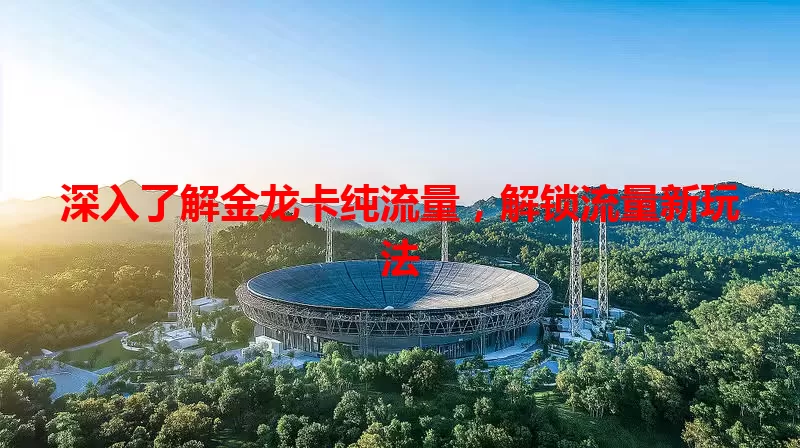 深入了解金龙卡纯流量，解锁流量新玩法