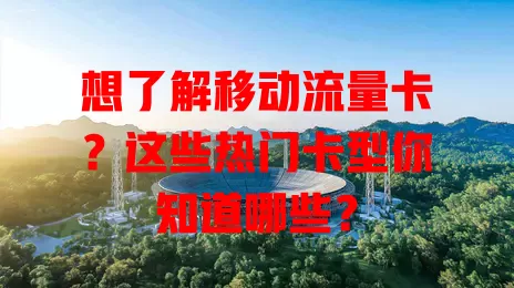 想了解移动流量卡？这些热门卡型你知道哪些？