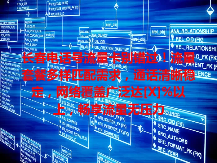 长春电话号流量卡别错过！流量套餐多样匹配需求，通话清晰稳定，网络覆盖广泛达[X]%以上，畅享流量无压力