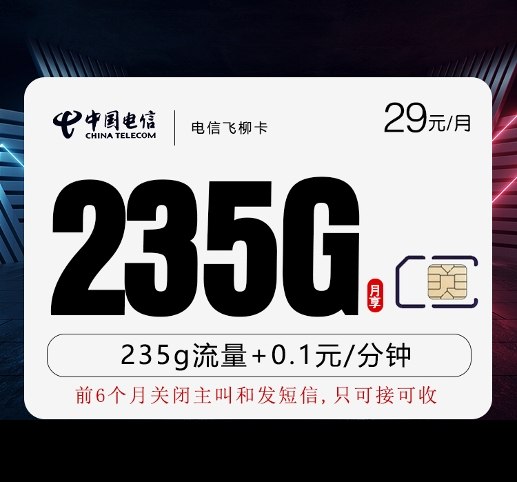 电信飞柳卡29元月包205G通用流量+30G定向流量+通话0.1元/分钟（部分流量次月5号叠加）