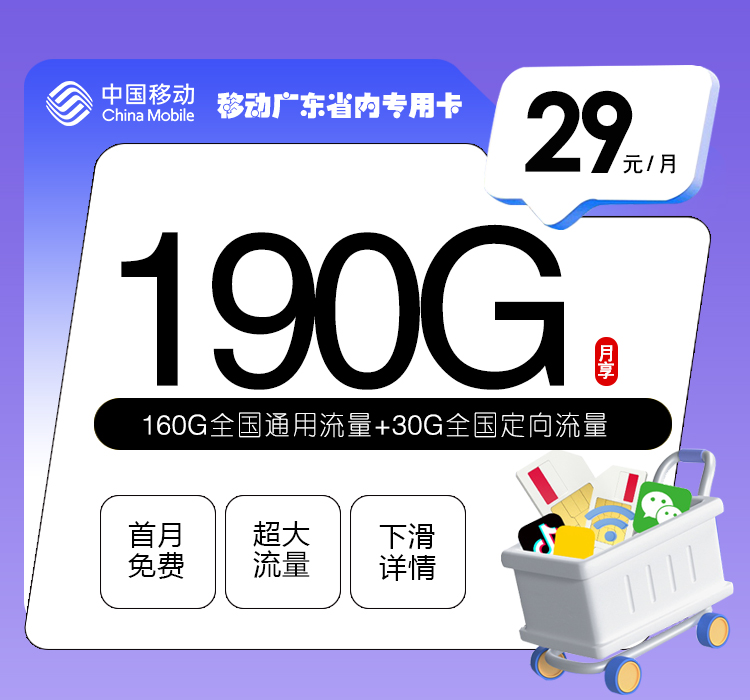 移动广东省内专用卡②29元月包160G通用流量+30G定向流量+通话0.19元/分钟（2年套餐，收货地为归属地，仅发广东省内）