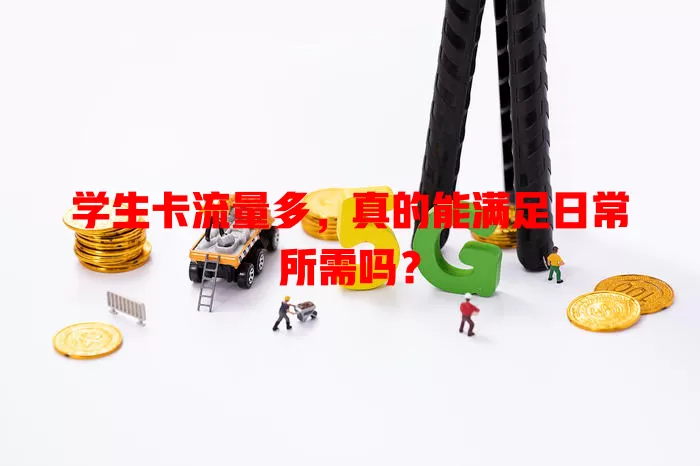 学生卡流量多，真的能满足日常所需吗？