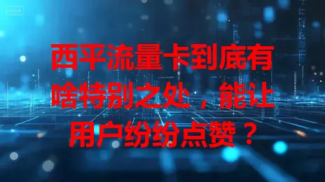 西平流量卡到底有啥特别之处，能让用户纷纷点赞？
