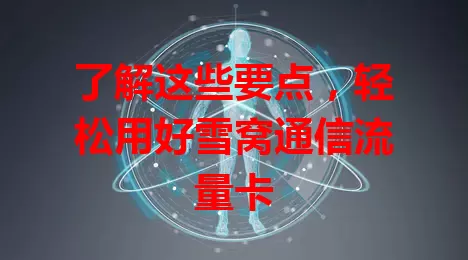 了解这些要点，轻松用好雪窝通信流量卡