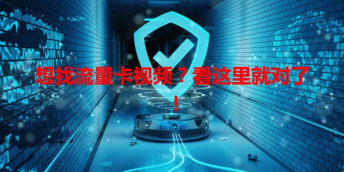 想找流量卡视频？看这里就对了！