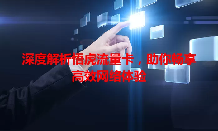 深度解析悟虎流量卡，助你畅享高效网络体验
