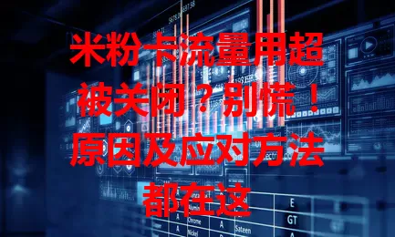 米粉卡流量用超被关闭？别慌！原因及应对方法都在这