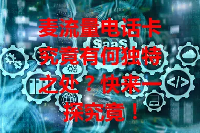 麦流量电话卡究竟有何独特之处？快来一探究竟！