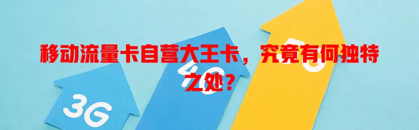 移动流量卡自营大王卡，究竟有何独特之处？