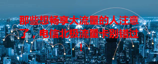 那些想畅享大流量的人注意了，电信北极流量卡别错过！