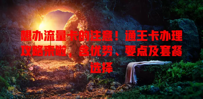 想办流量卡的注意！通王卡办理攻略来啦，含优势、要点及套餐选择