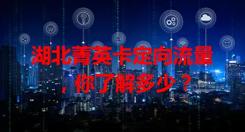 湖北菁英卡定向流量，你了解多少？